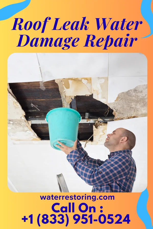 Roof Leak Water Damage Repair in Lewistown, IL